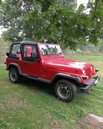 Jeep Wrangler cena 70000 przebieg: 160000, rok produkcji 1995 z Łuków małe 37